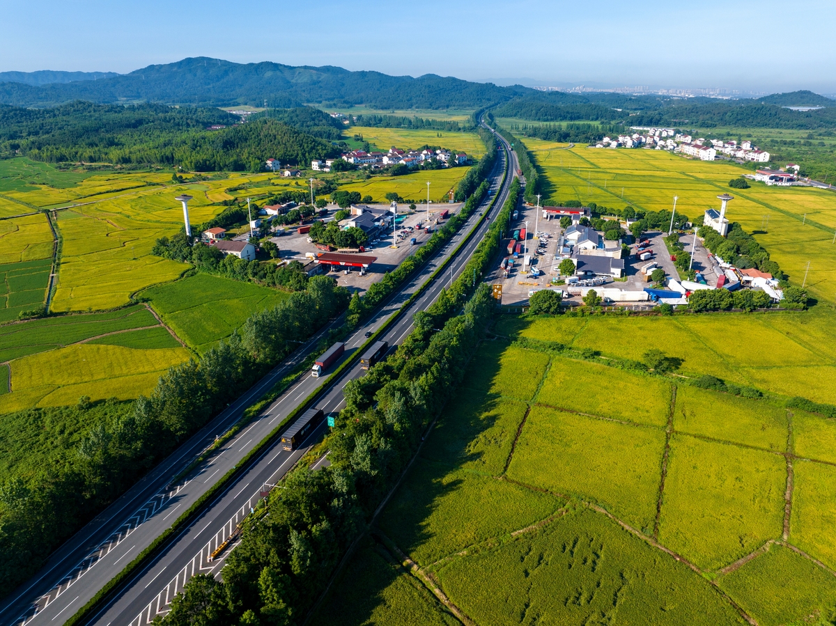 乡村道路建设：推动乡村振兴的关键力量