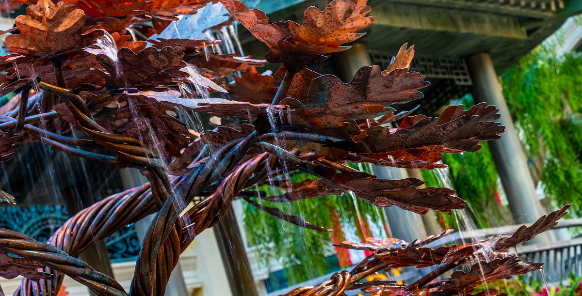 拉斯维加斯健身房收费标准