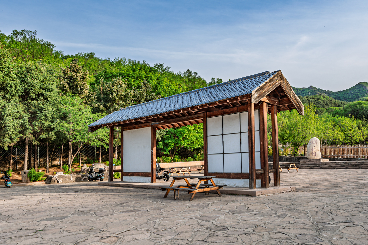 民宿集群建设拓展农民增收渠道研究：以顾伯伯民宿群为例