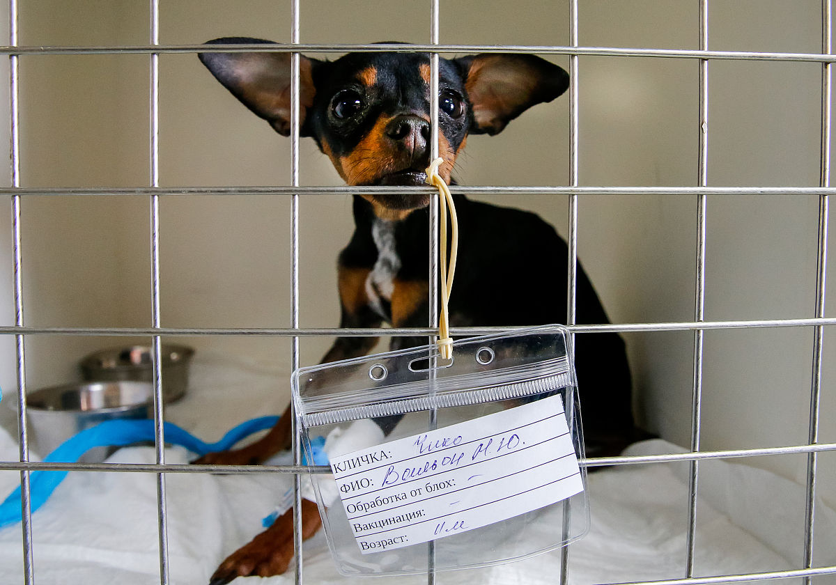 实习第三方协议