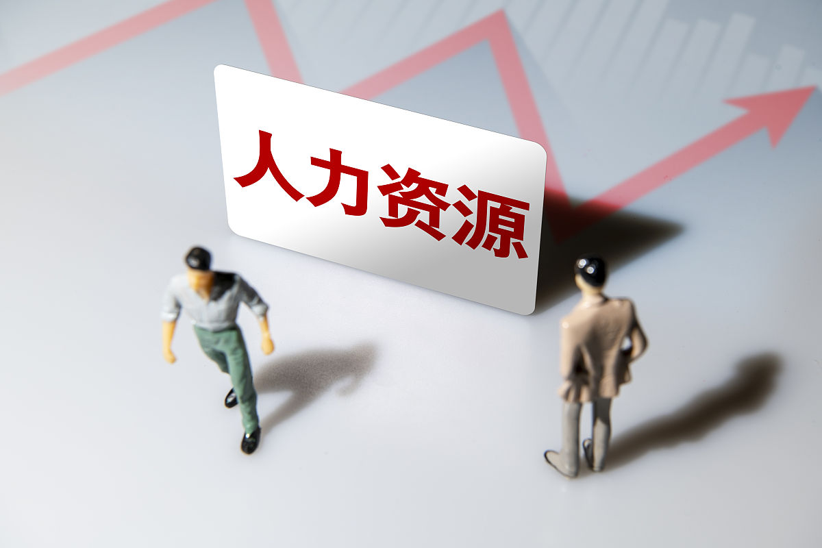 微观与宏观人力资本研究：深入理解个人与社会发展