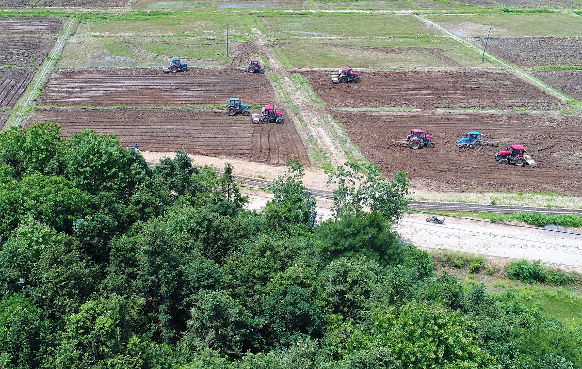 村子水环境现状和门村门屯甘蔗双高基地水利设施建设的调研请你为这活动写出一句活动主题或标题