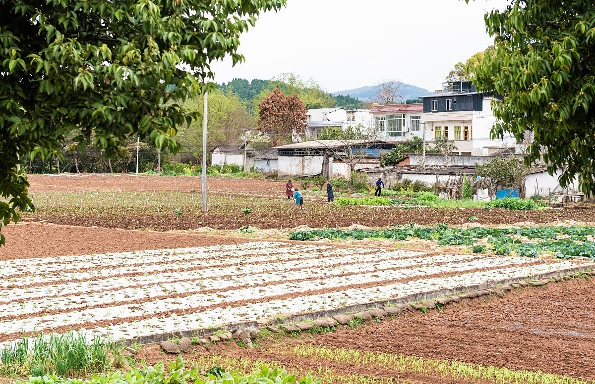 2019年金堂护理专业学校有没有药剂专业