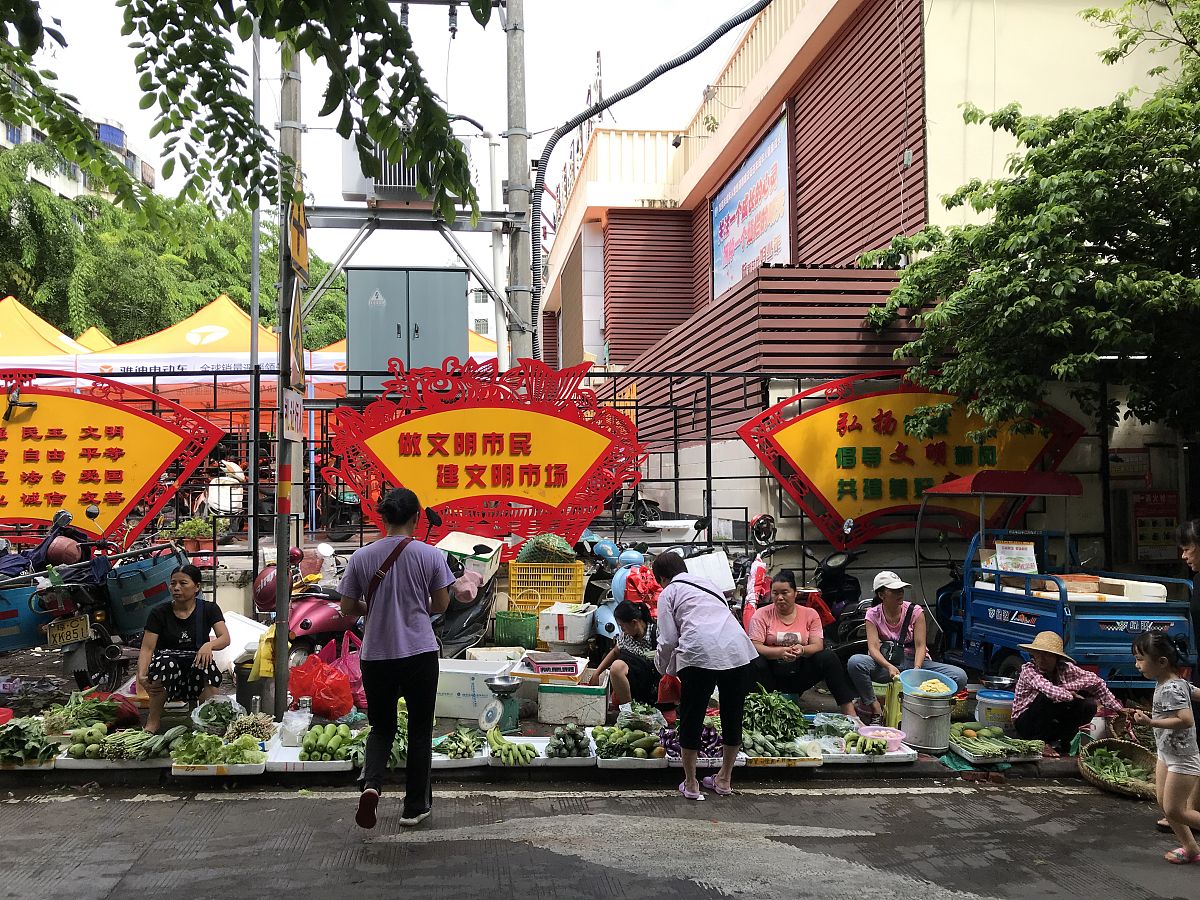 大城市流动摊贩疏导区演变类型与机制研究：以广州为例