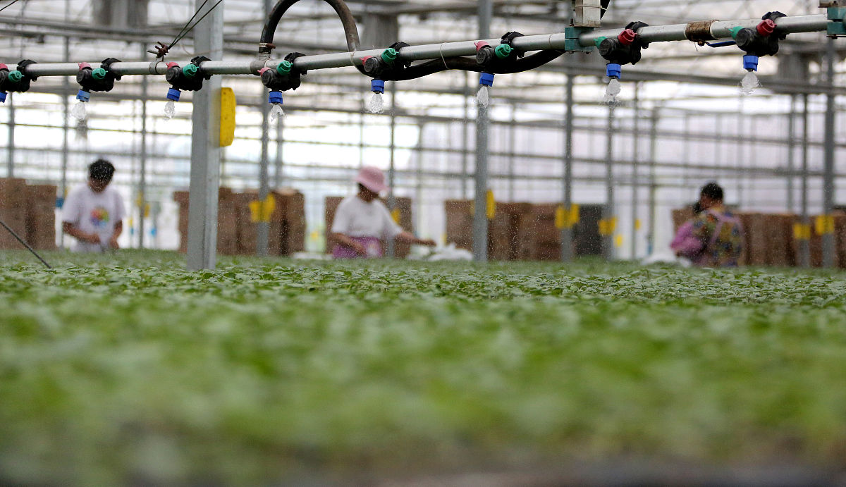 广西梧州农业学校2023特色专业一览