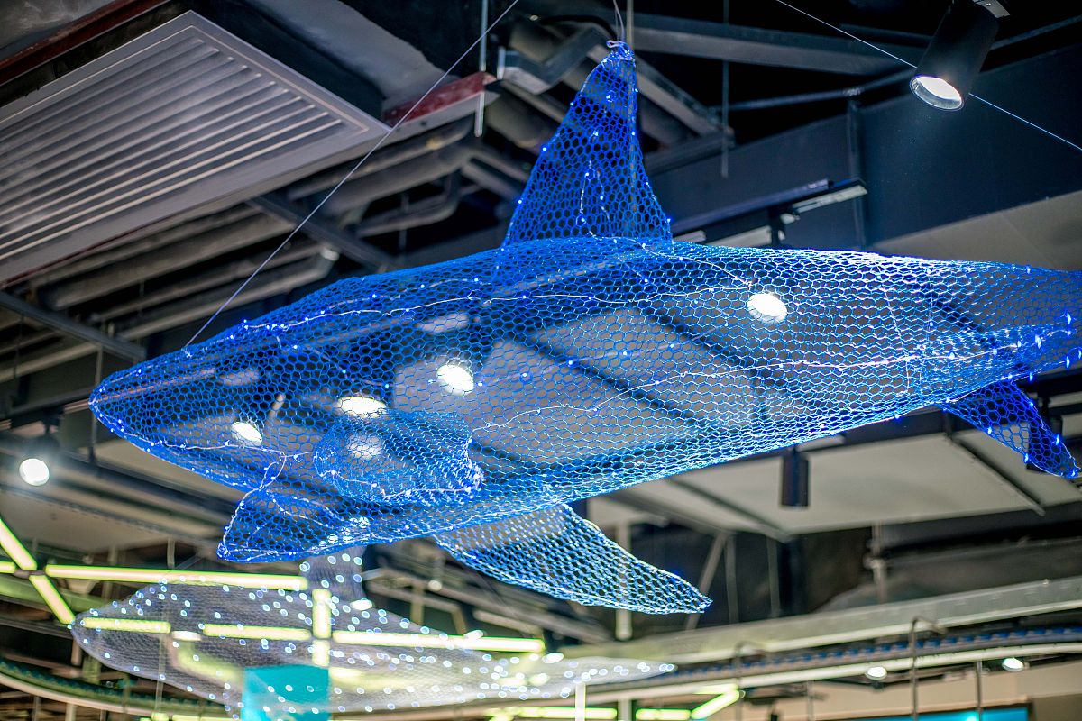 盒马鲜生质量监督问题：食品安全、商品质量和服务质量