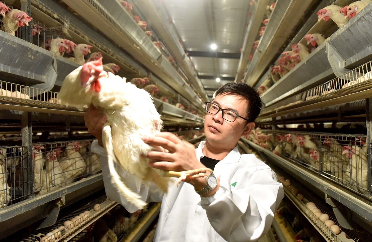 黄平中等职业技术学校2022年招生简章：报名时间、专业、联系方式