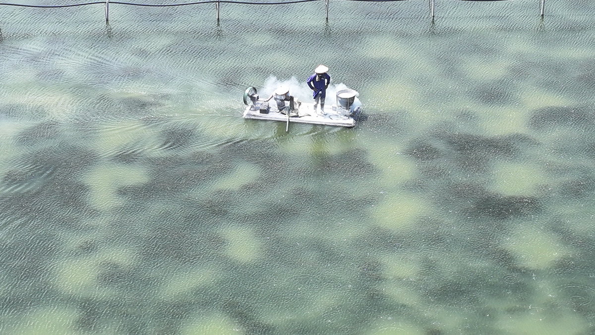 嘉善总工会职工学校水产养殖技术专业怎么样？好不好学