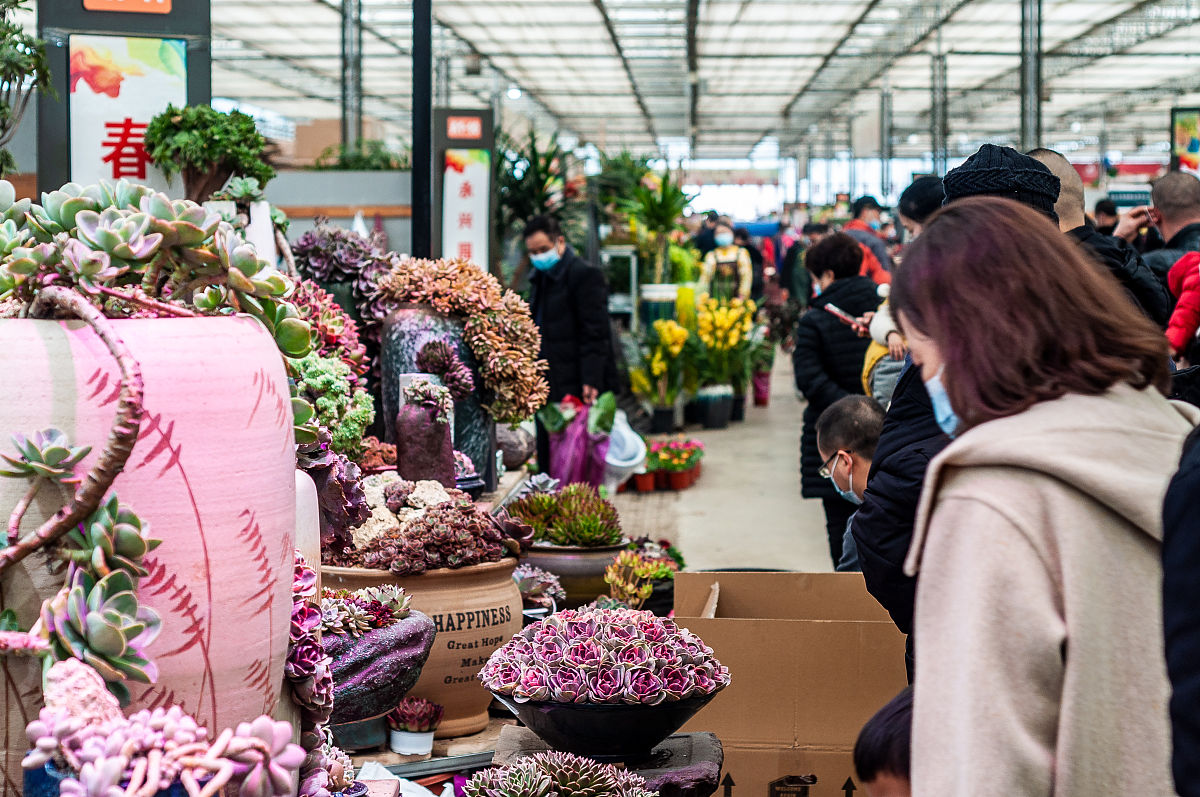 四川省汽车整形专业学校哪些好