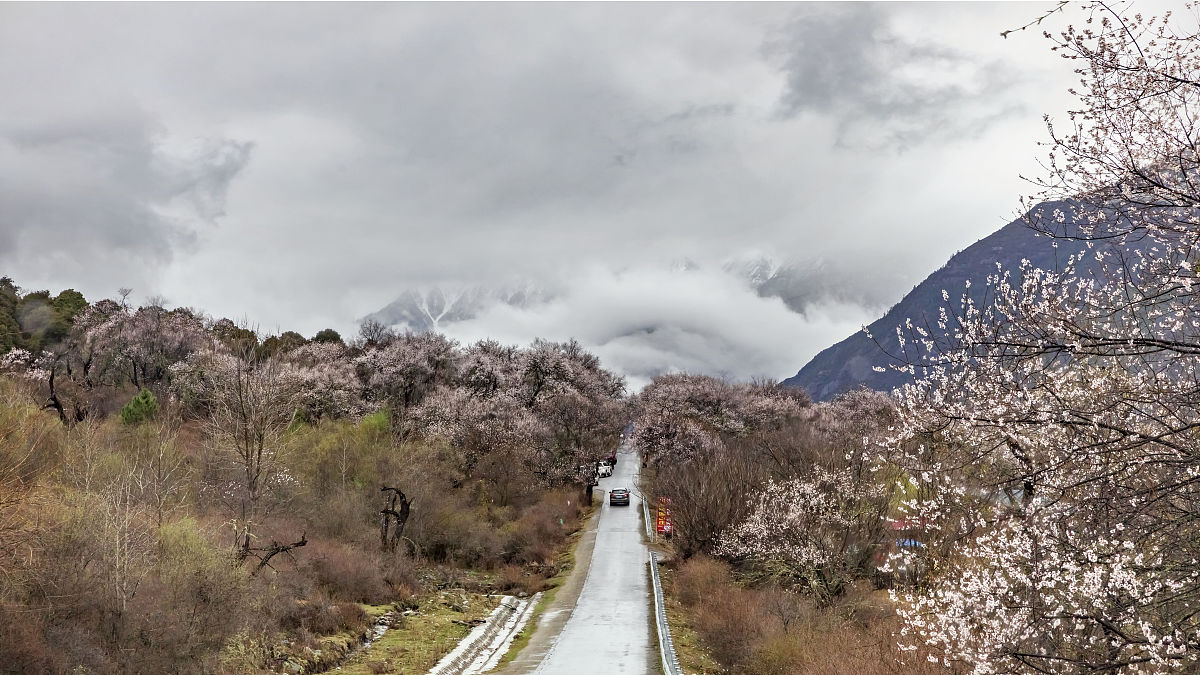 2021年4月1日,西藏林芝,波密县桃花沟风景.(如需下载请署名 曾文平/视