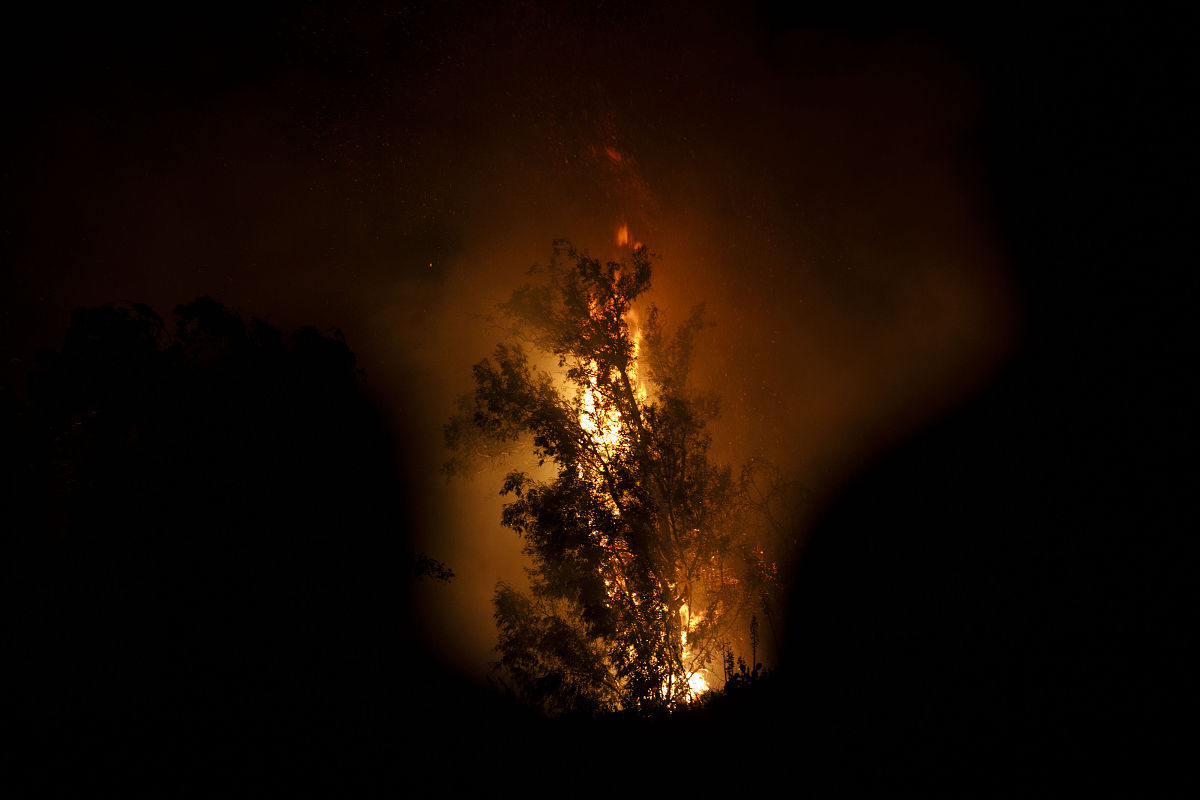 插播一条最近的新闻