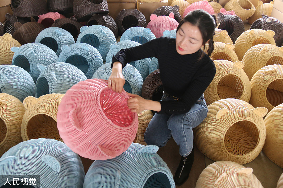 北大落榜生实践队探访郯城柳编文化：传承与发展