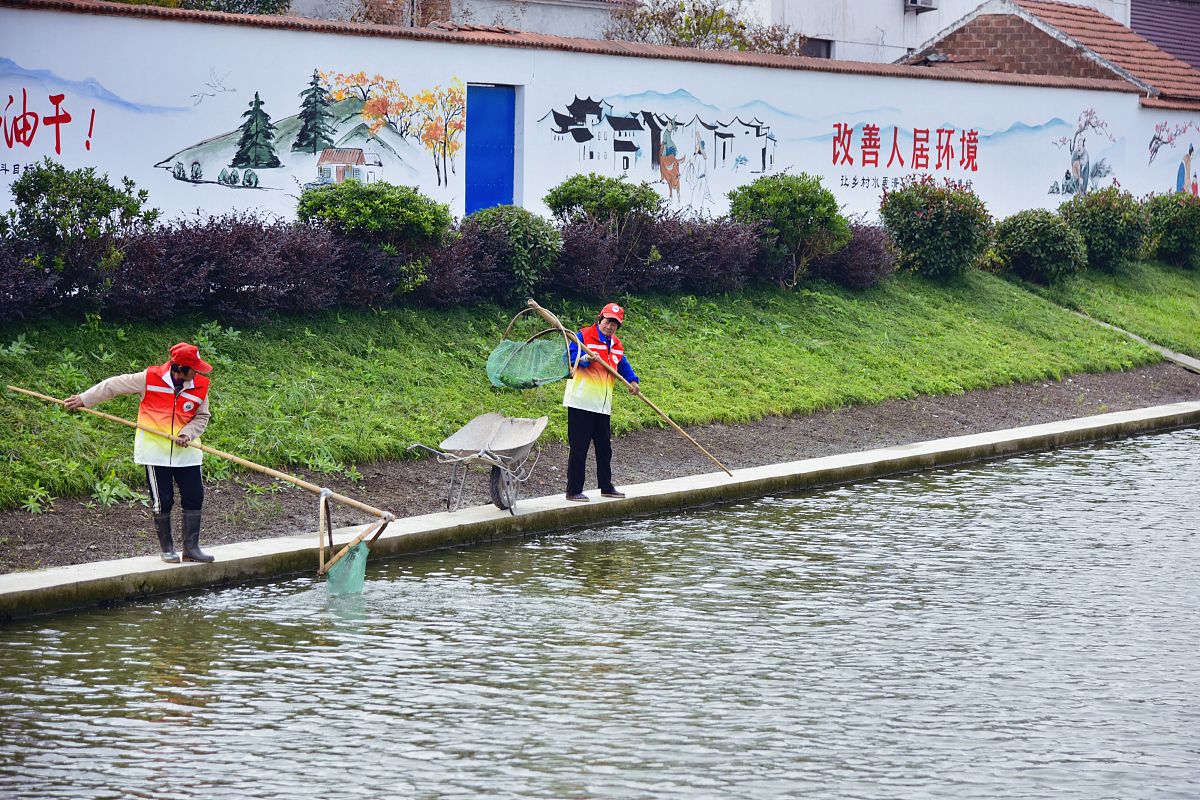 提高农村人居环境整治建议
