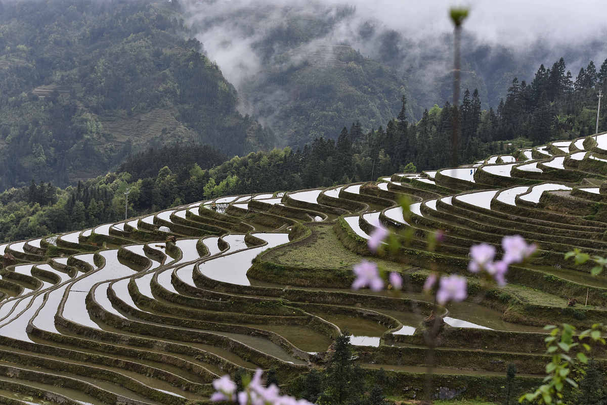 2023贵州优秀中专有哪些用