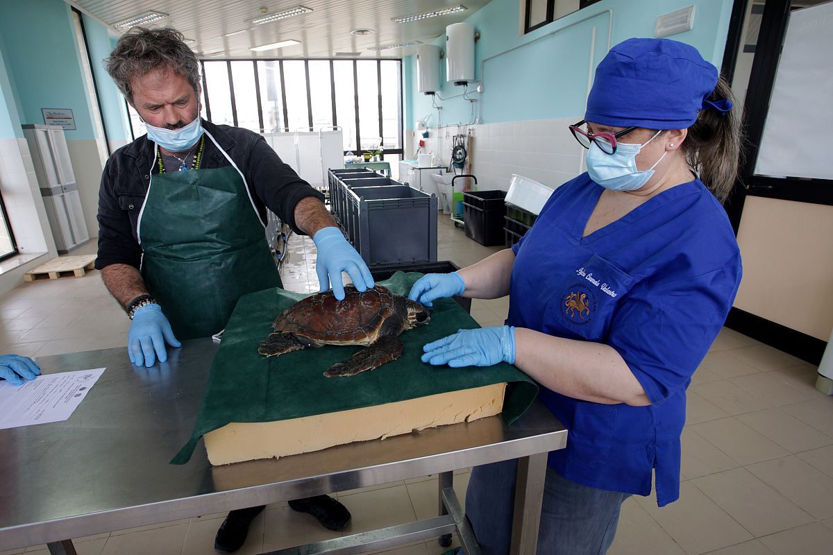 重庆长寿卫生学校康复治疗技术专业介绍