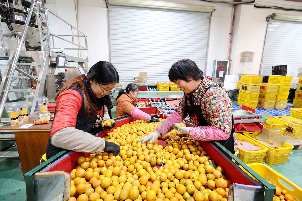 帮我写一份新闻稿稿件内容：黔东南民族职业技术学院金果兴农团队最近新研发出一款枇杷次果加工设备并在台江县革一镇对当地农民进行技术帮扶要求：让文字变得更严谨更文邹邹