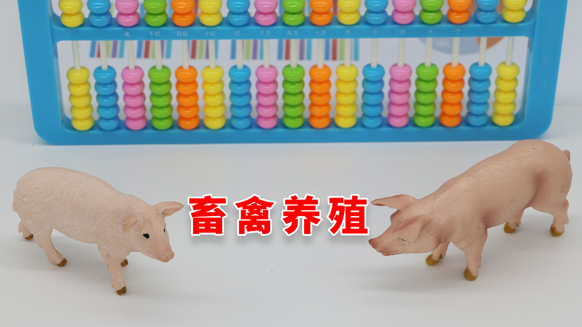 畜禽标识和养殖档案管理办法：加强监管，保障安全