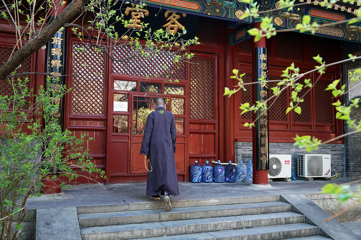 2019年3月23日,北京,法源寺丁香花开,掩映着红墙碧瓦春意浓浓,颇具古