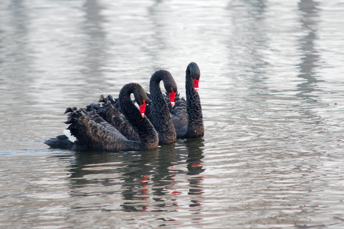 邯郸卫校2023年排名怎么样-教学质量好不好？