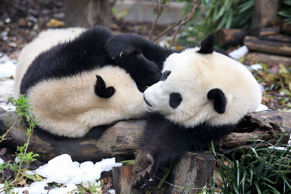 成都铁路工程学校2022年招生条件-解读及报考指南