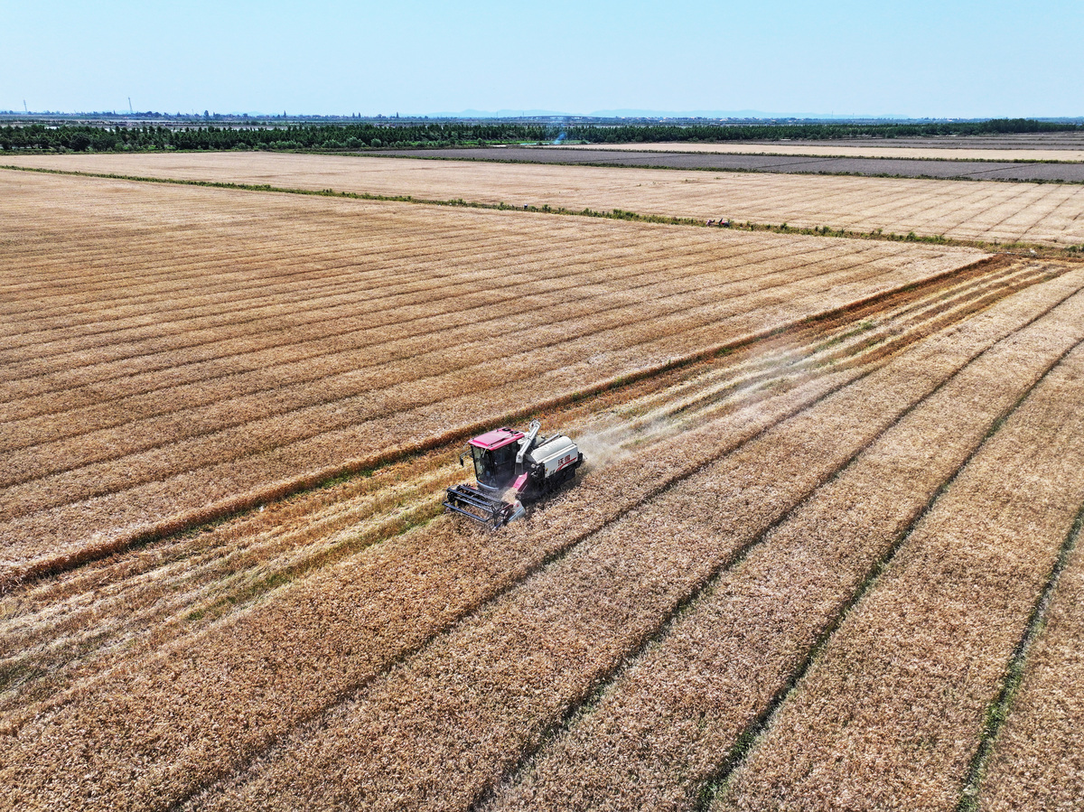 东北黑土地区农田基础设施建设相对滞后。大 多数地区基础设施是上世纪 70 ~ 80 年代建设的已 经很难满足当前农业生产的需求。尤其是土地联产 承包以后农田防护林体系破坏比较严重防风防 蚀能力下降风蚀水蚀频繁发生导致黑土层逐年 变薄土壤质地变粗严重的导致沙化。对以上文字进行重新论述意思不变