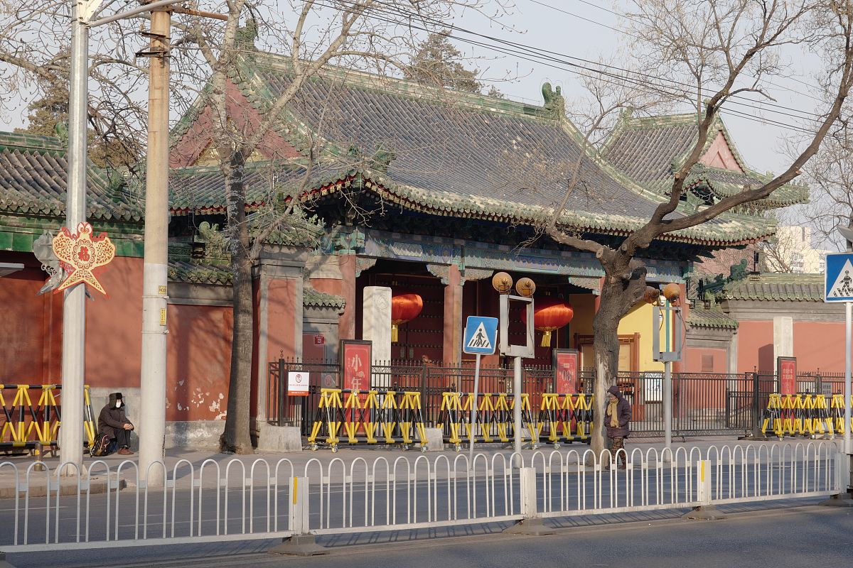2018年2月6日,北京,阜成门内大街沿街挂满了老北京沙燕儿,煞是好看,为