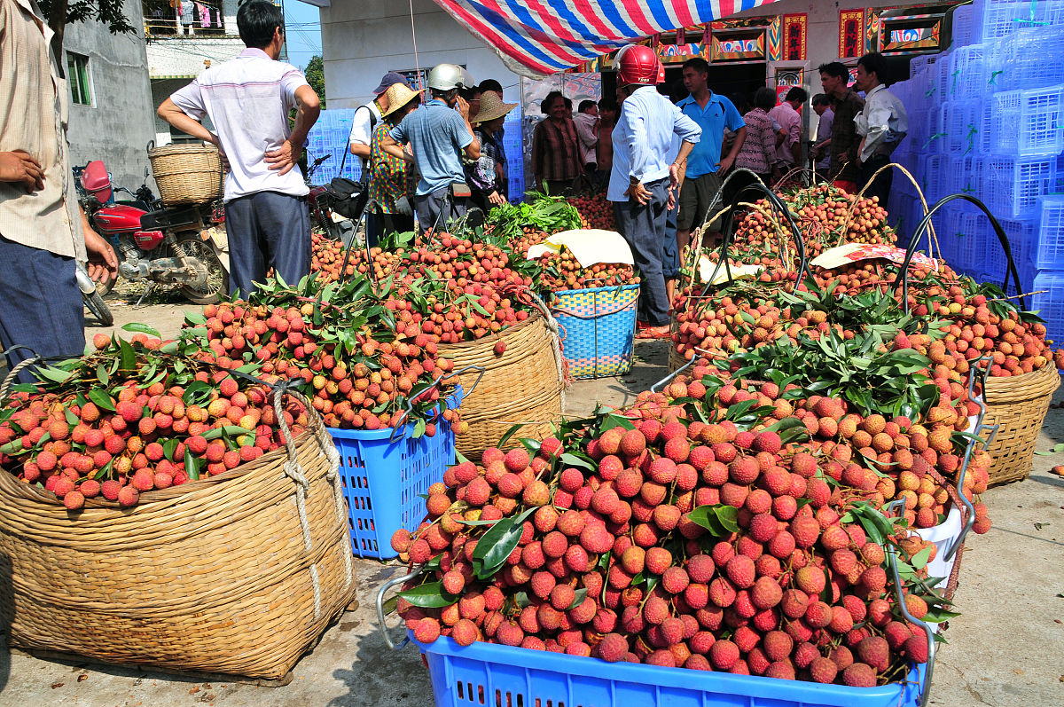 荔枝水果销售市场的现状