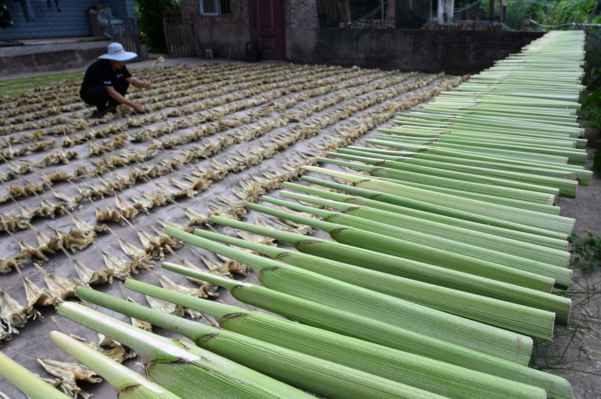 四川省2022年地级市有哪些