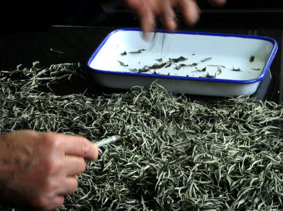 影响茶叶变质的因素具体是那几个方面