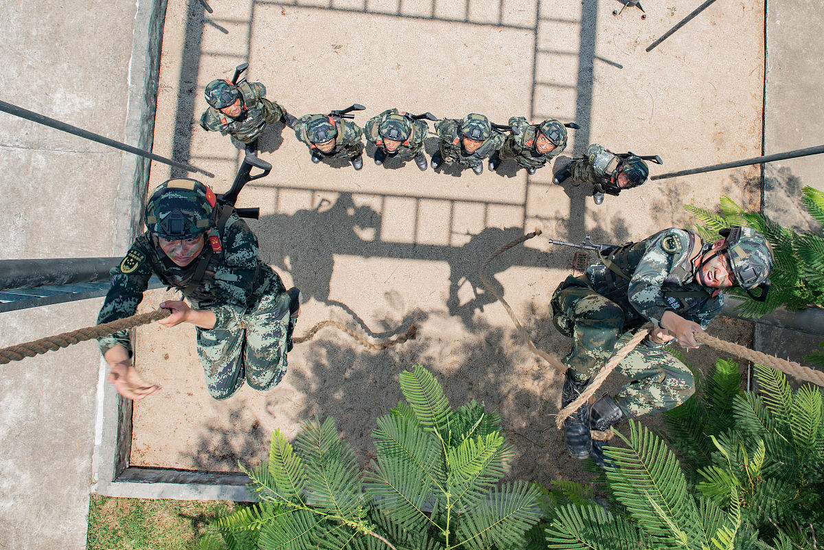 军训第五天心得：挑战自我，团队合作，收获成长