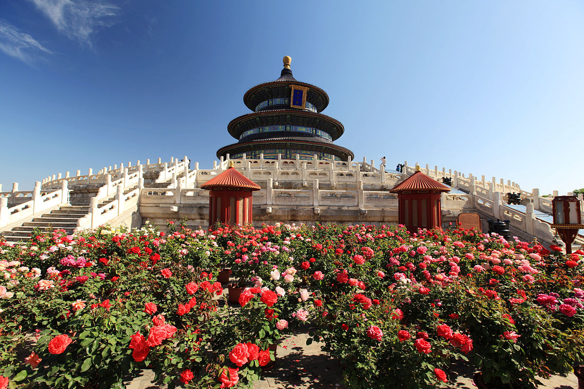 河南农业职业学院园林工程技术专业就业前景