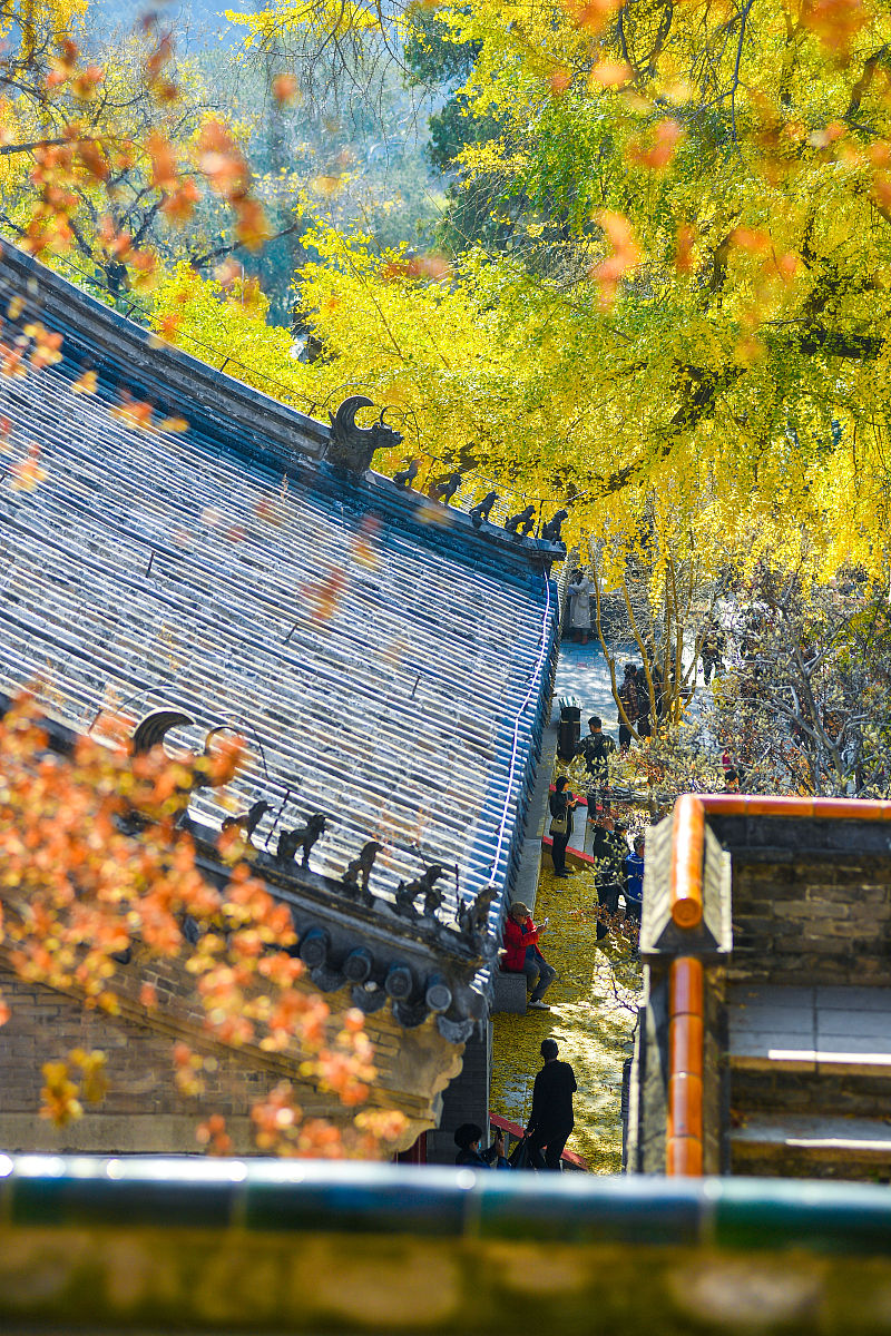 2020年11月4日,北京,位于门头沟区的潭柘寺是京城最古老的寺庙之一,始