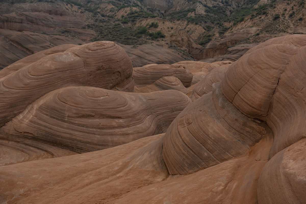 2019年靖边职教中心招生简章