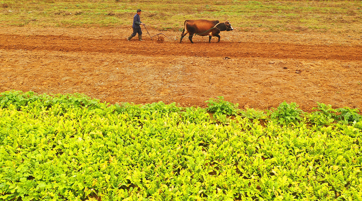 福建农林大学金山学院农学专业怎么样