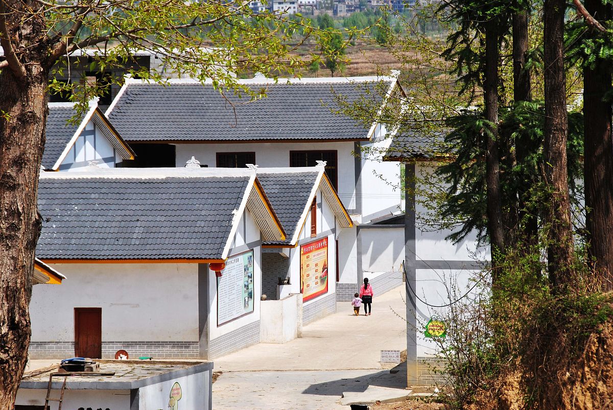 村支书述职报告标题大全：共筑美丽乡村，实现村民幸福梦想