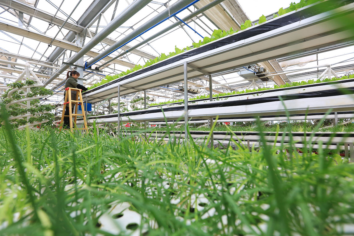 毕节七星关中等职业学校2023年招生简章