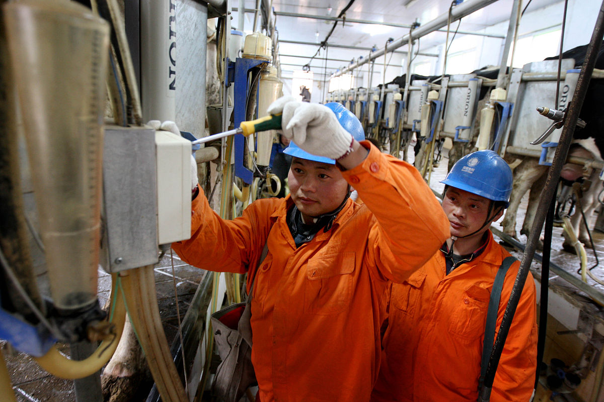 安徽粮食经济技师学院2021年招生简章 - 报考指南