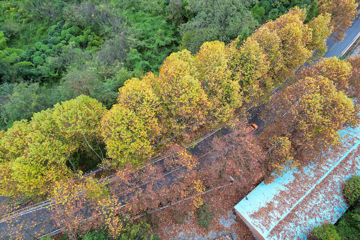 贵州航天职业技术学院酒店管理专业怎么样