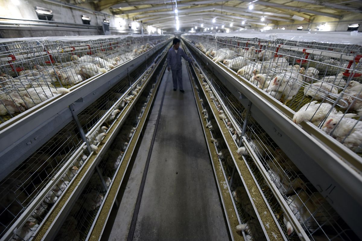 重庆市机械高级技工学校电梯工程技术今朝电梯班专业优势怎么样发展前景好不好呢