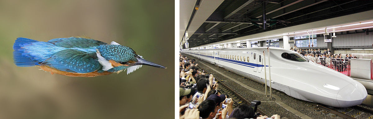 我现在正在进行火箭发射所面临问题的研究性学习请帮我写一份关于上述问题的研究性学习心得300字