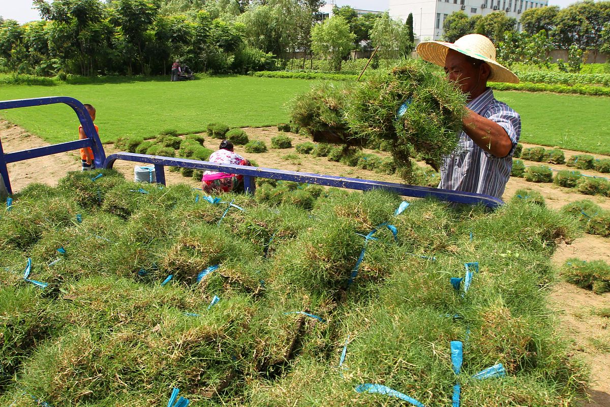 宏兴中队高效清除厂区杂草，打造清爽社区环境