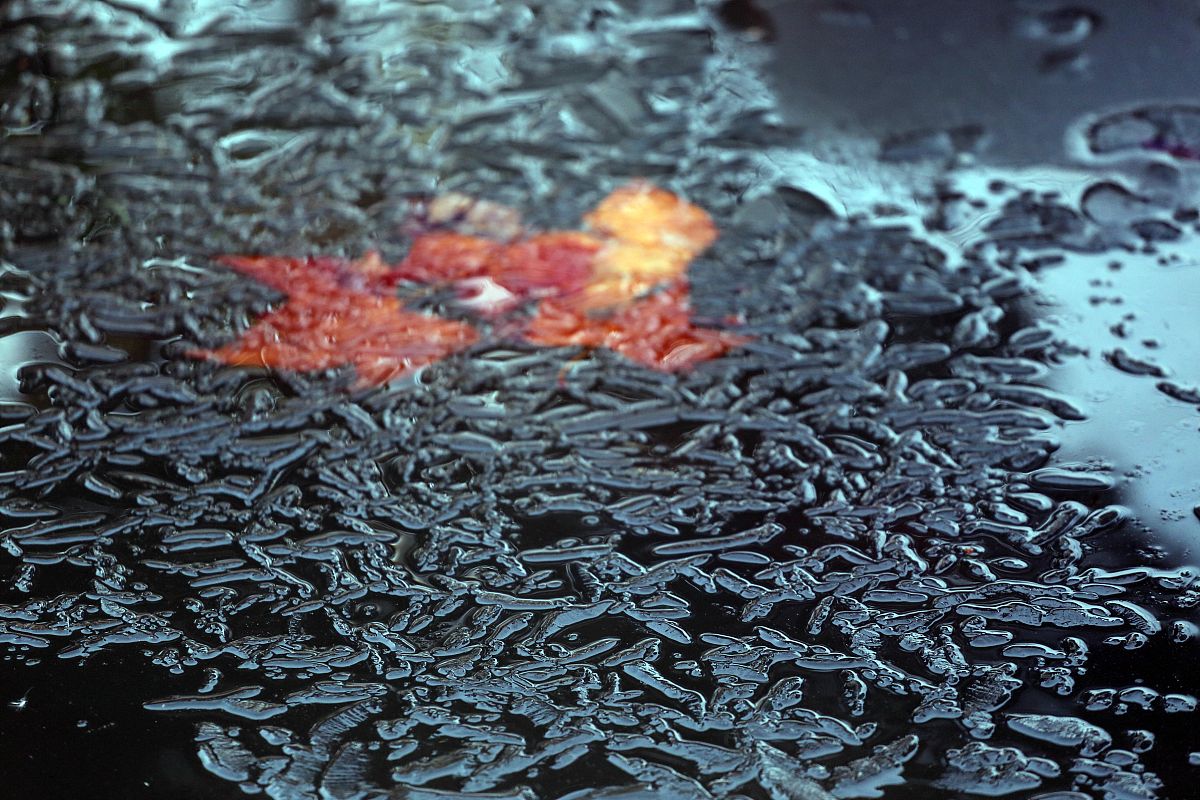 翻译
 Large-scale preparation of uniformly sized VO2(M) nanoparticles for the flexible films with efficiently thermochromic properties remains a challenge.