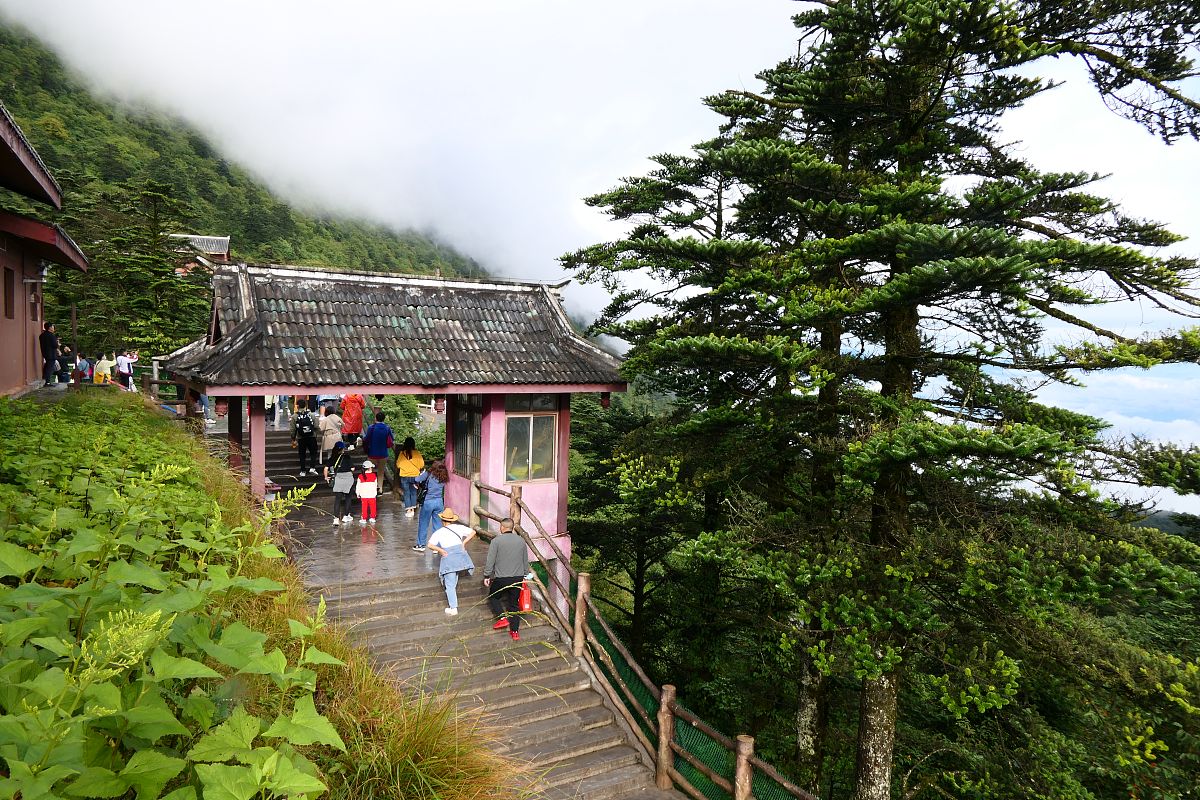 乐山旅游学校教学怎么样？课程设置解析