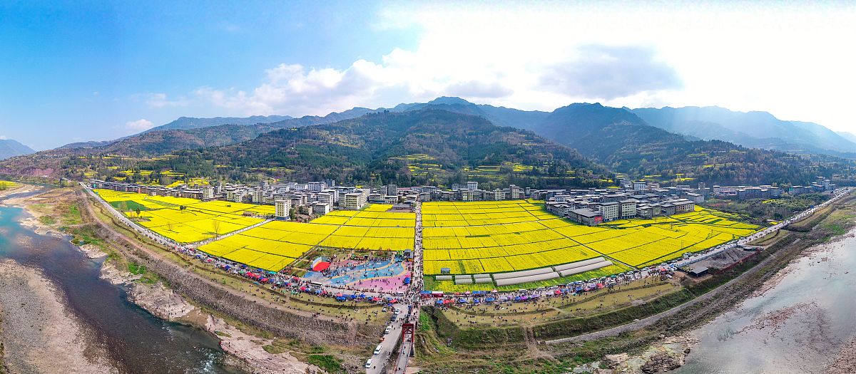 乡村振兴背景下的农村义务教育技术路线研究