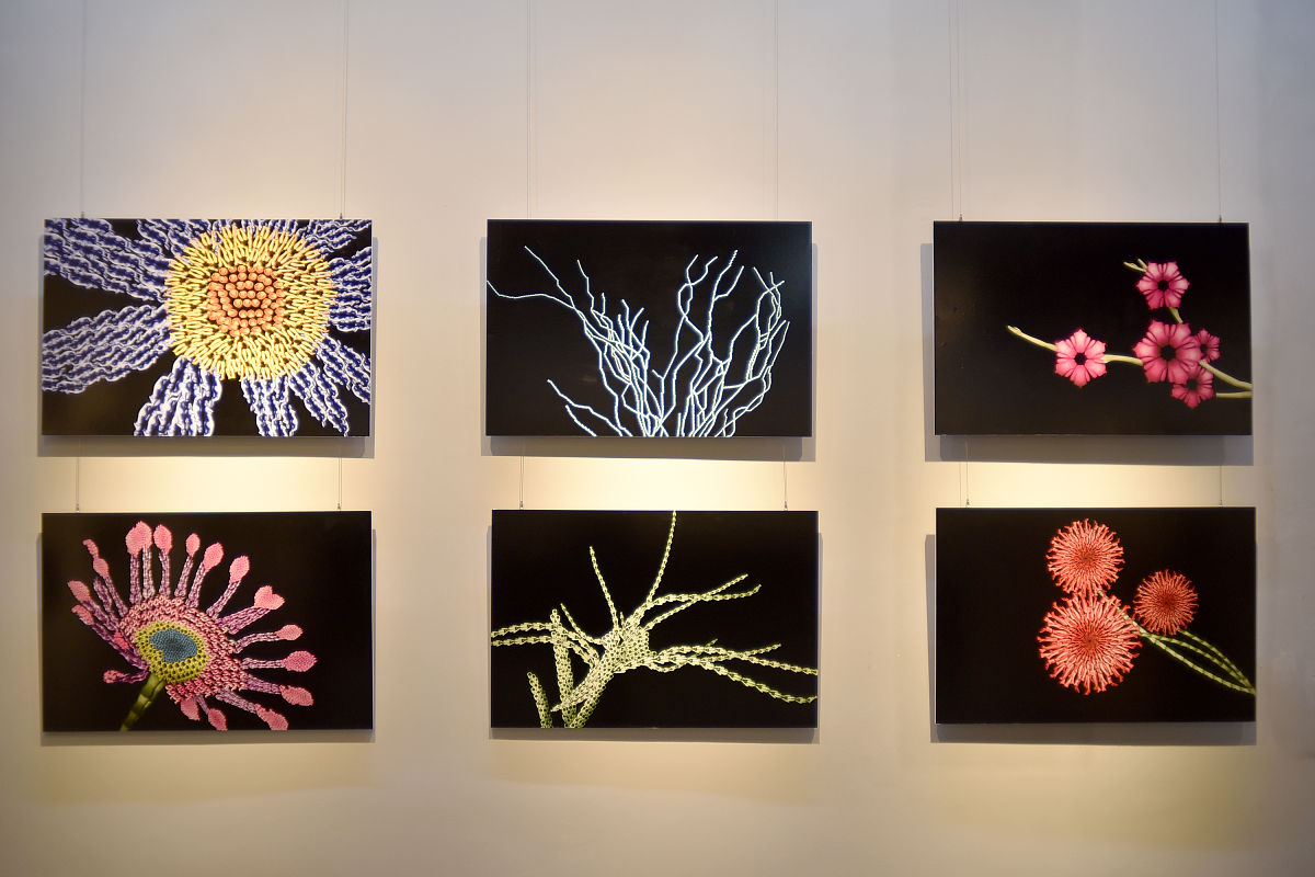 四川最优秀的艺术教育院校：寻找培养艺术人才的最佳学府