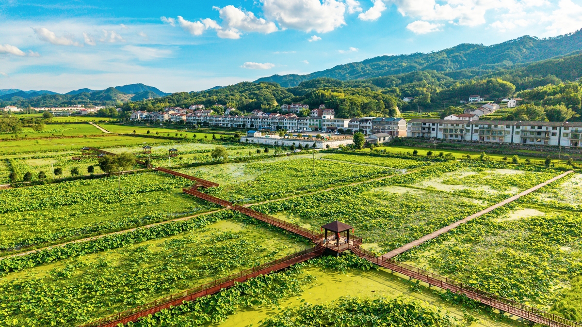 观光农业抖音文稿