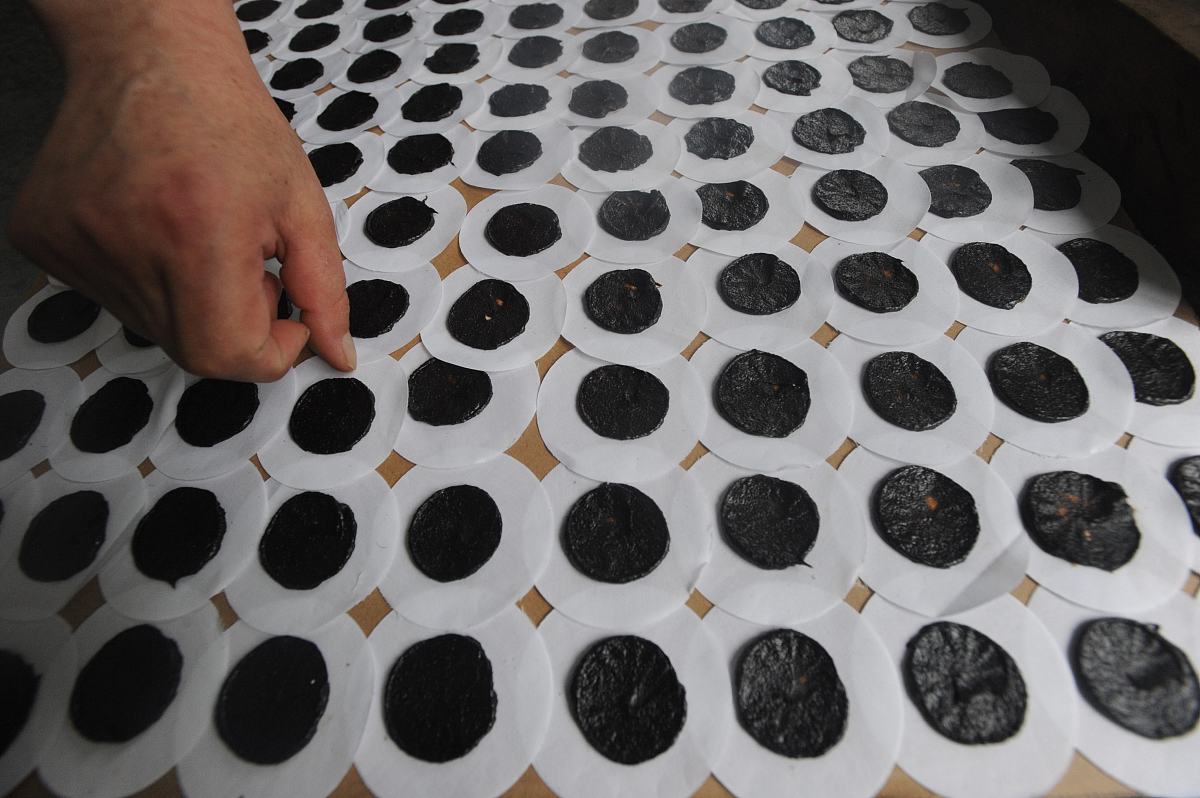 资阳卫生学校有哪些专业