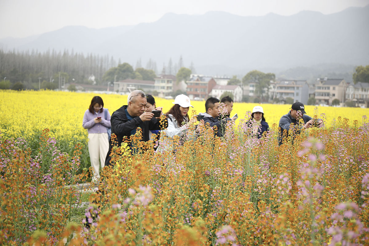 杭州建设职业学校2022年网址网站-好不好