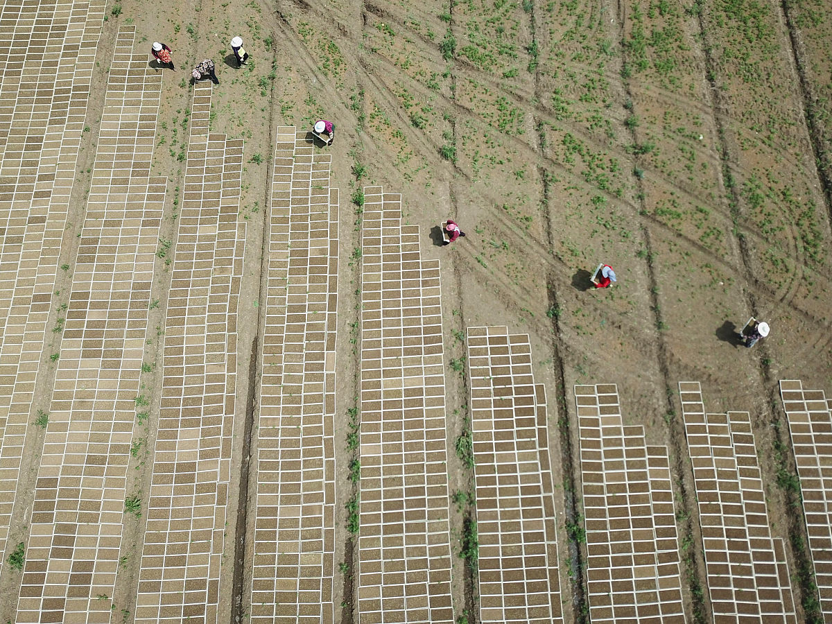 战争已经进入到紧要时间。你是运输小队长正在率领运输部队向前线运送物资。运输任务像做题一样的无聊。你希望找些刺激于是命令你的士兵们到前方的一座独木桥上欣赏风景而你留在桥下欣赏士兵们。士兵们十分愤怒因为这座独木桥十分狭窄只能容纳-11-个人通过。假如有-22-个人相向而行在桥上相遇那么他们-22-个人将无法绕过对方只能有-11-个人回头下桥让另一个人先通过。但是可以有多个人同时呆在同一个位置。