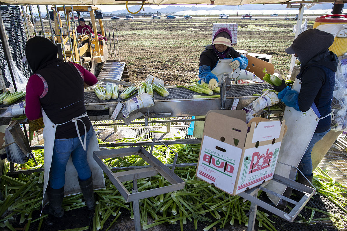 农业赚钱哪个方面最赚钱？种植、畜牧养殖、农产品加工对比分析